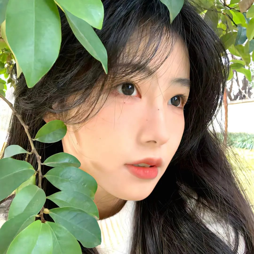 没有明天的人